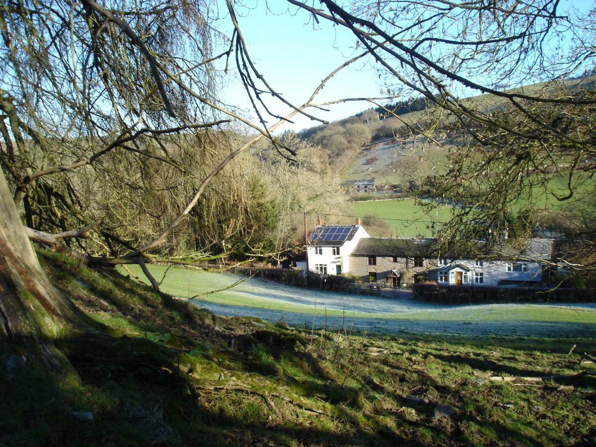 Rose Cottage Dutlas Knighton  Dış mekan fotoğraf