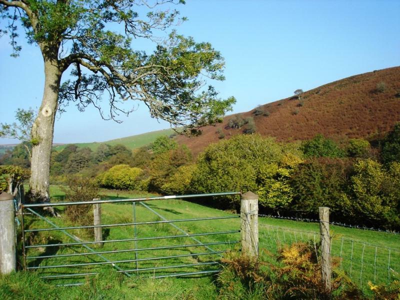 Rose Cottage Dutlas Knighton  Dış mekan fotoğraf